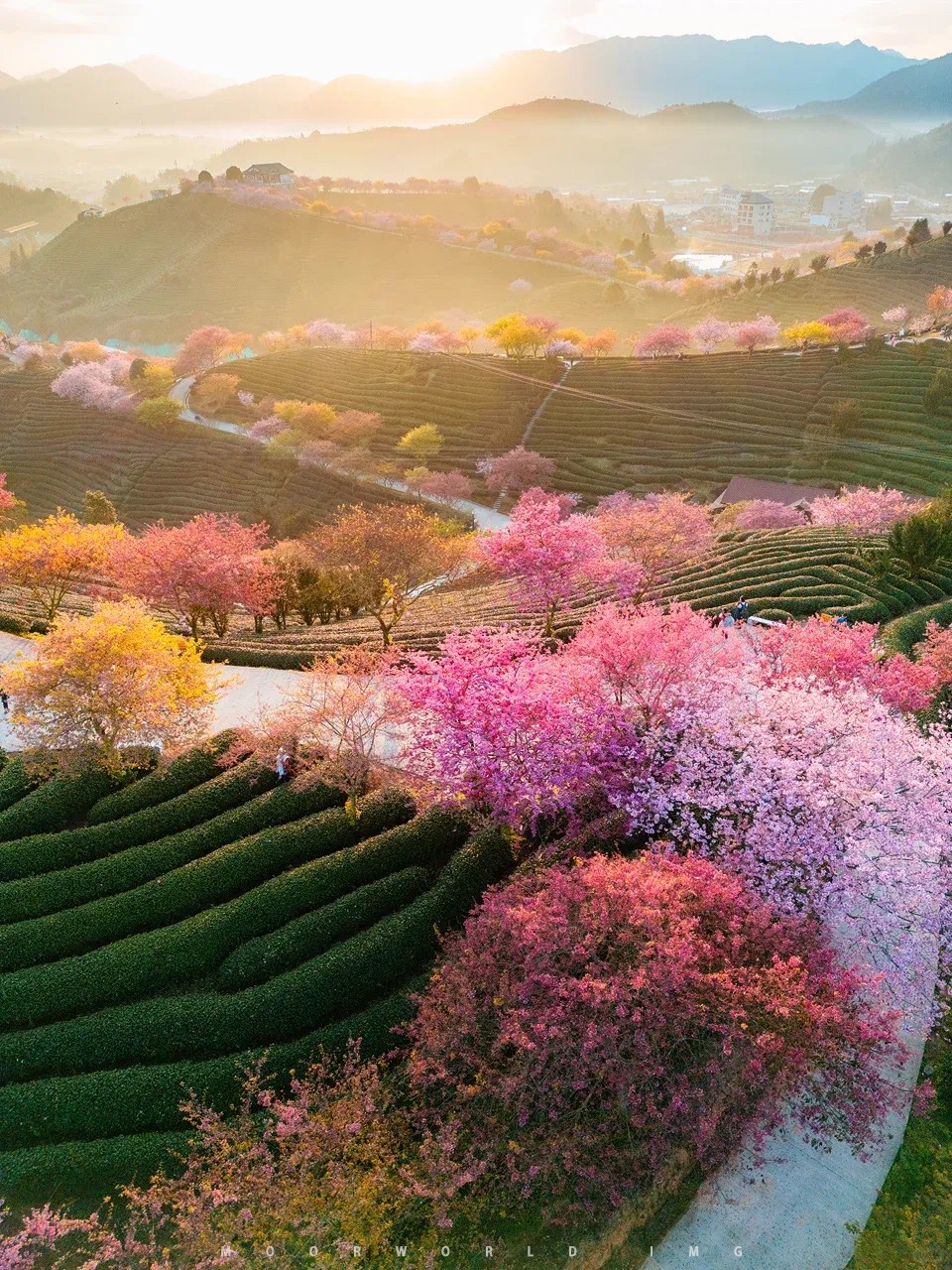 火灾报警系统：守护安全的“隐形哨兵”